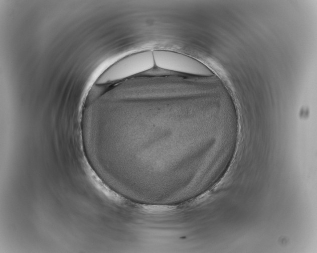 X0000093371200200711011222