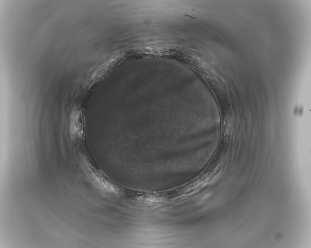 X0000093371202200711011221