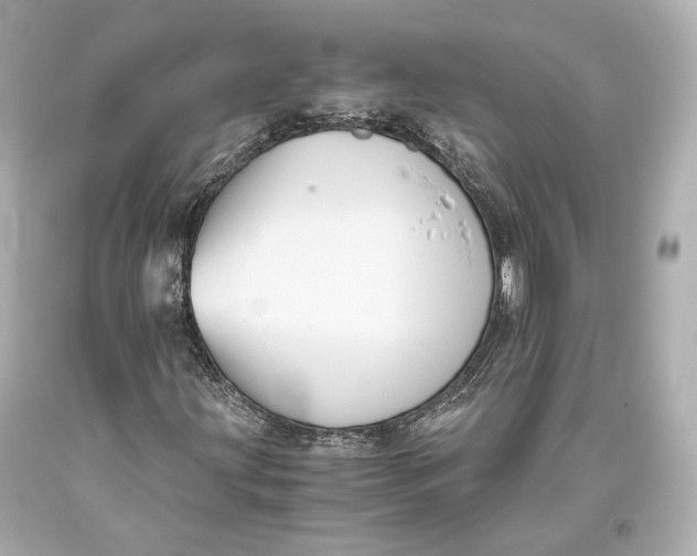 X0000093371203200711011221