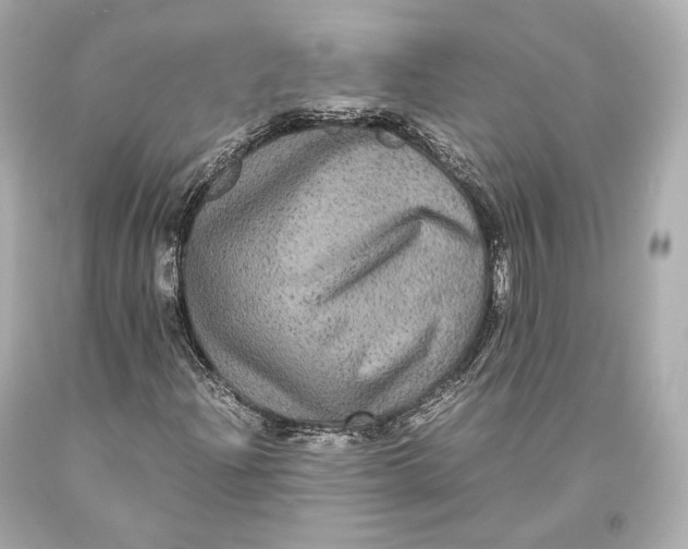 X0000093371204200711011221