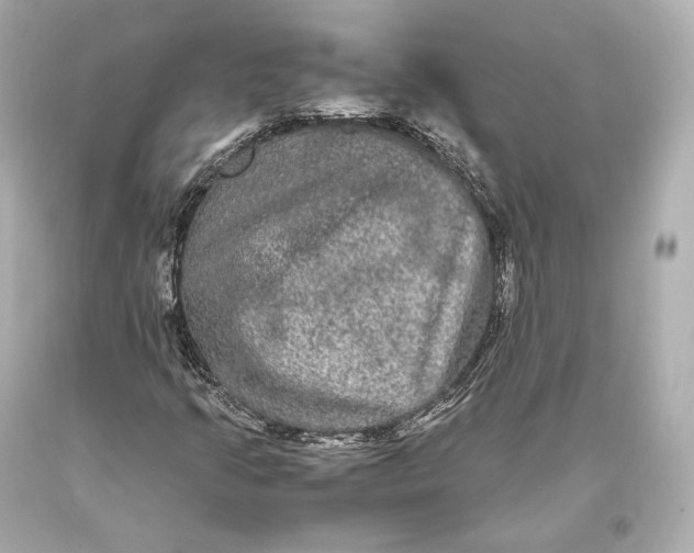 X0000093371205200711011221