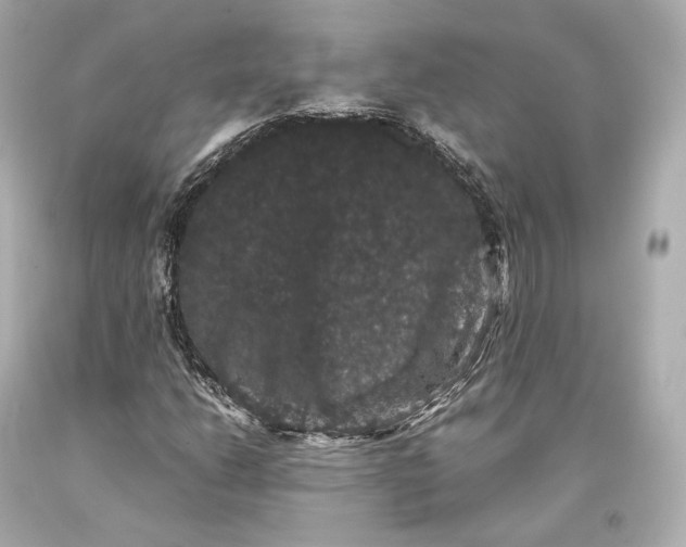 X0000093371206200711011221