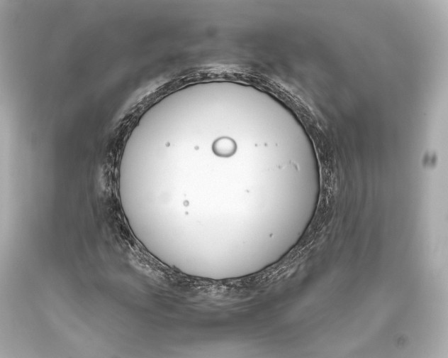 X0000093371207200711011221