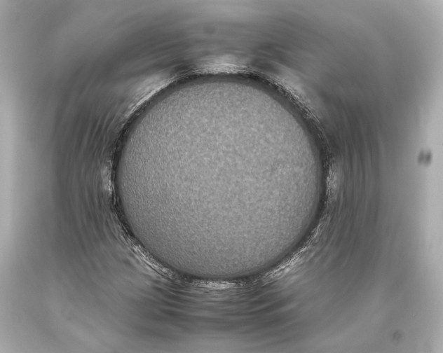 X0000093371209200711011221