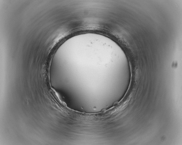 X0000093371210200711011221