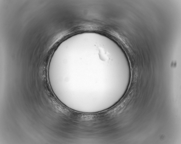 X0000093371211200711011221