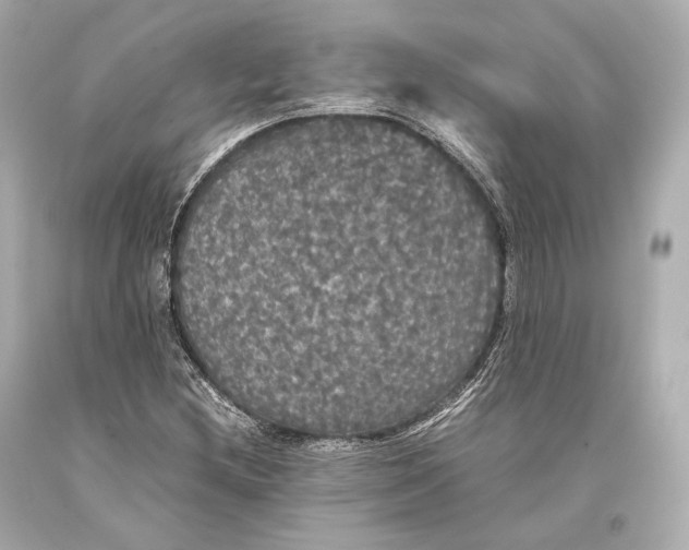 X0000093371212200711011221