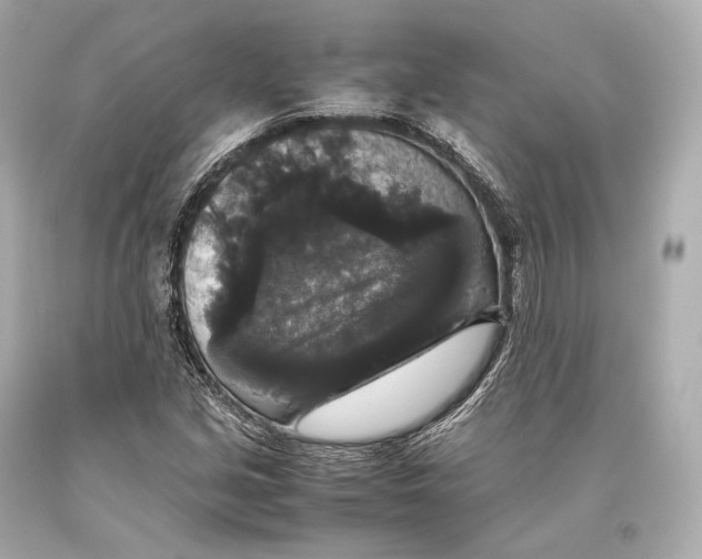 X0000093371213200711011221