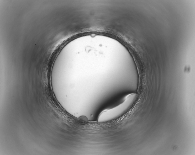 X0000093371214200711011221