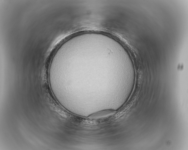 X0000093371215200711011221