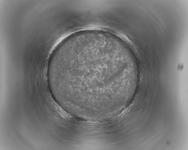 X0000093371216200711011221