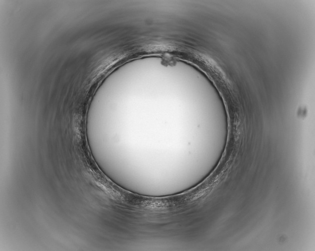 X0000093371217200711011221