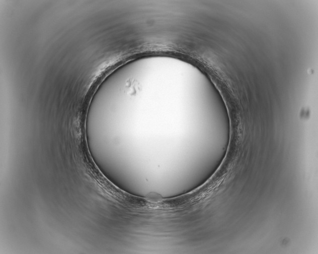 X0000093371218200711011221