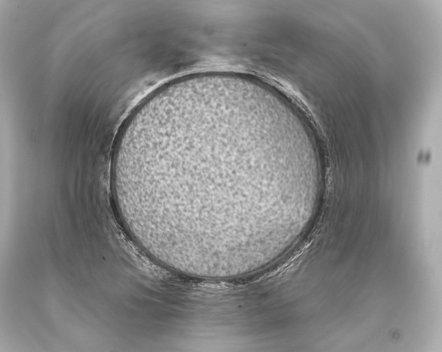 X0000093371220200711011221