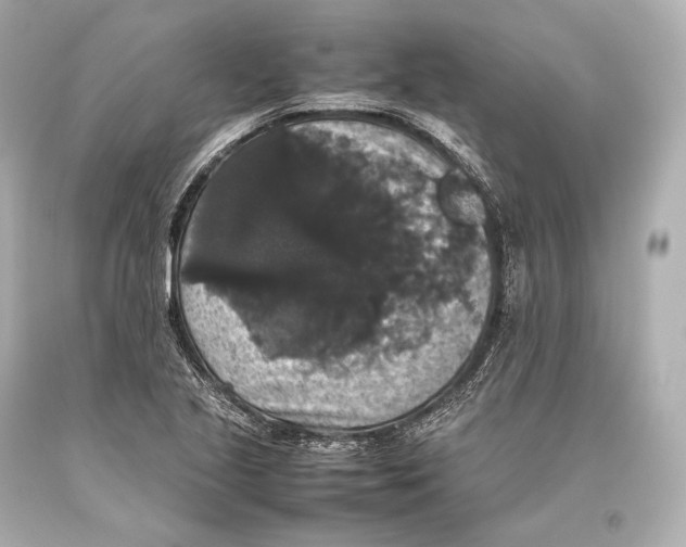 X0000093371221200711011221