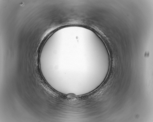 X0000093371222200711011221