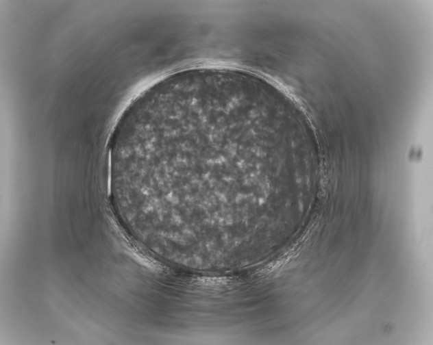 X0000093371223200711011221