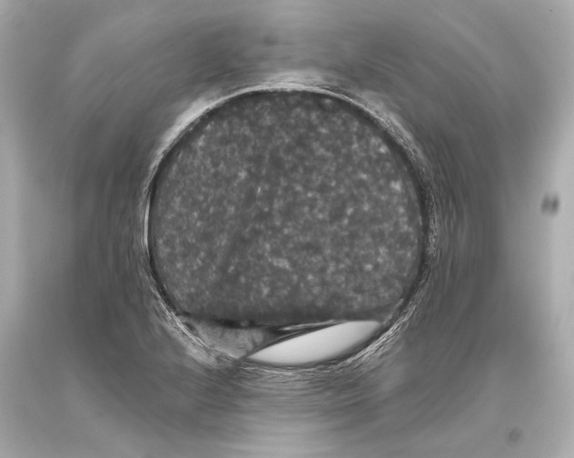 X0000093371224200711011221