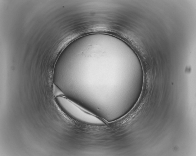 X0000093371225200711011221