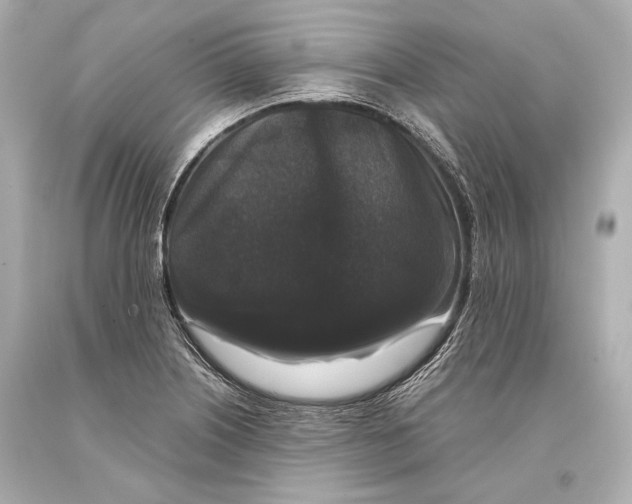 X0000093371226200711011221