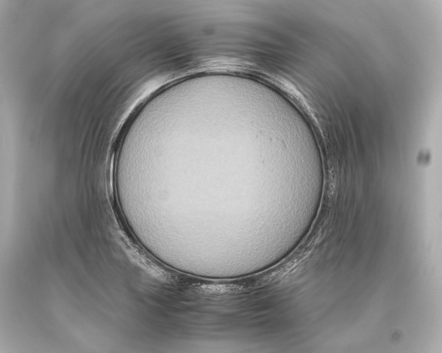 X0000093371227200711011221