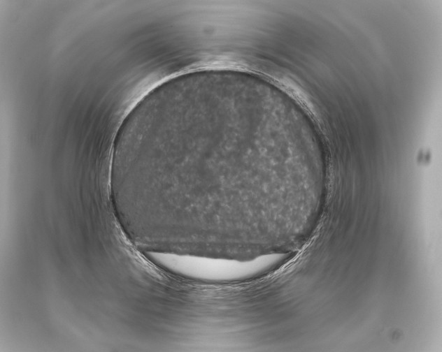 X0000093371228200711011221