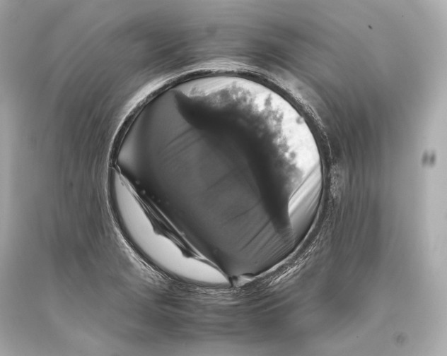 X0000093371229200711011221