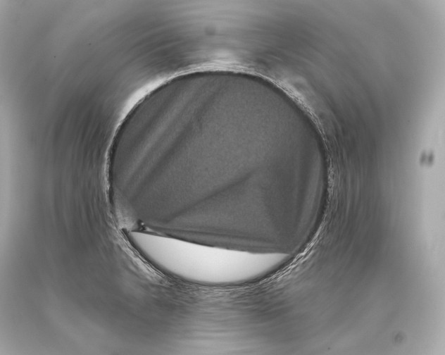 X0000093371230200711011221