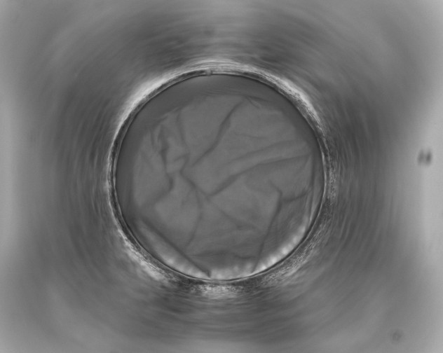 X0000093371231200711011221