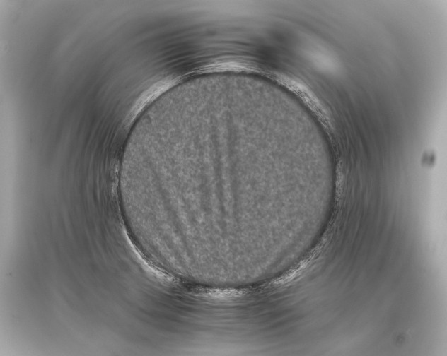 X0000093371233200711011221