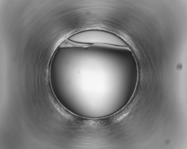 X0000093371234200711011221