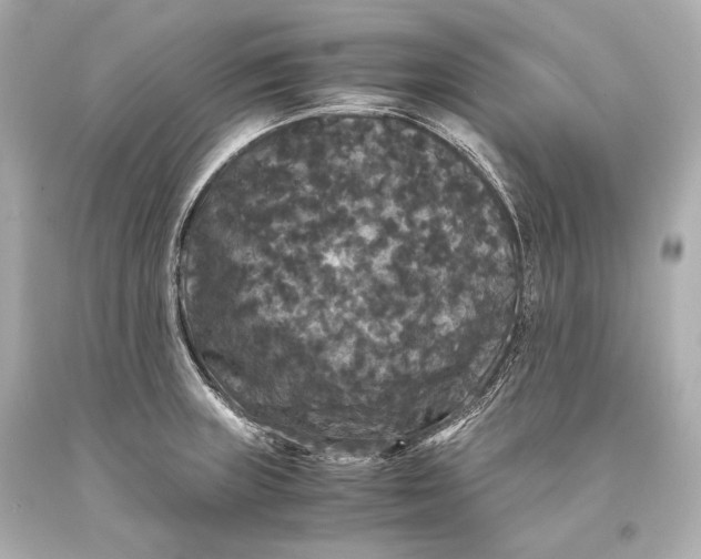 X0000093371235200711011221