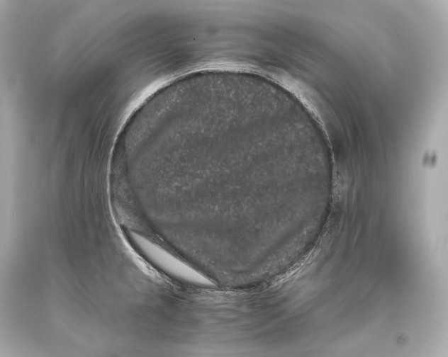 X0000093371237200711011221