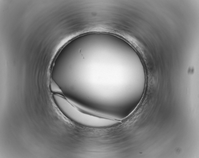 X0000093371238200711011221