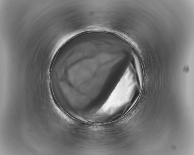 X0000093371239200711011222