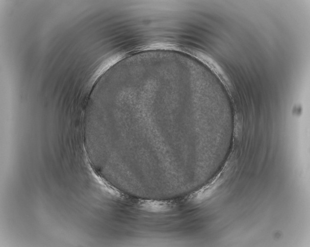 X0000093371241200711011222