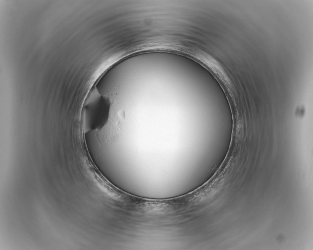 X0000093371242200711011222