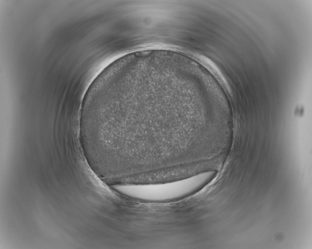 X0000093371244200711011222