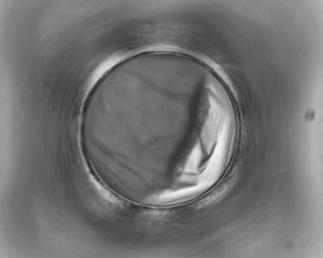 X0000093371245200711011222