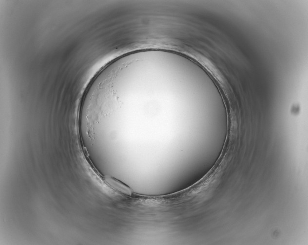 X0000093371246200711011222