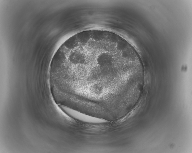 X0000093371247200711011222