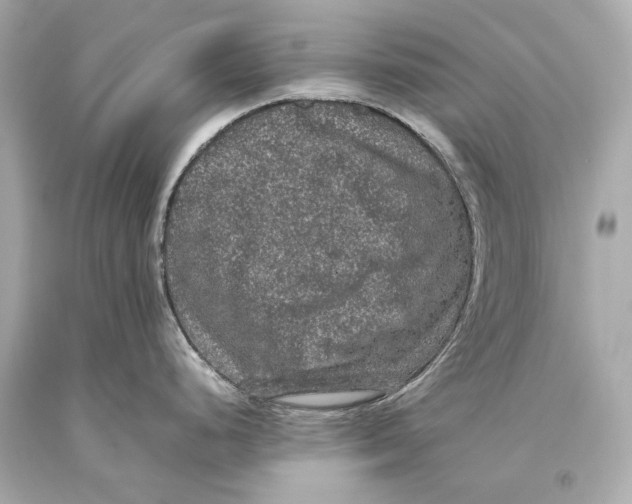 X0000093371248200711011222