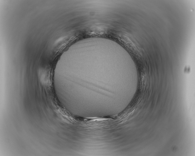 X0000093371250200711011221