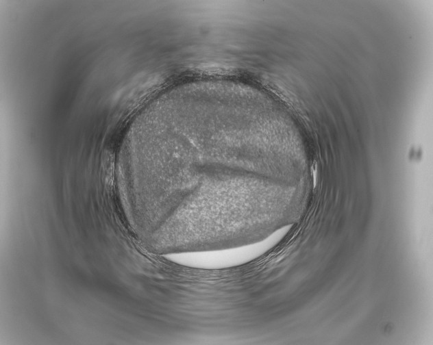 X0000093371251200711011221