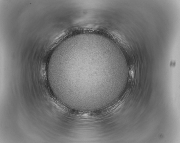 X0000093371252200711011221