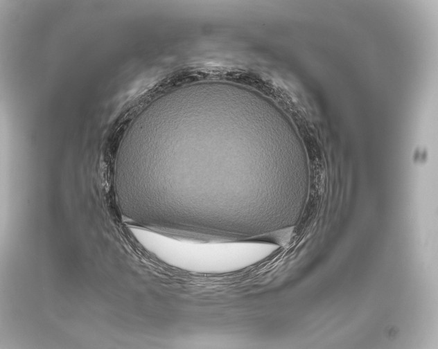 X0000093371253200711011221