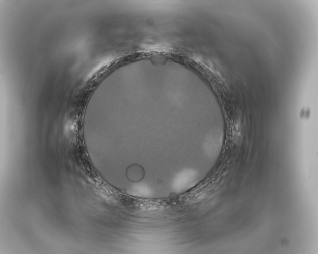 X0000093371254200711011221