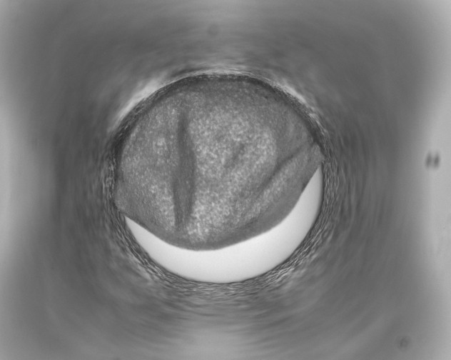 X0000093371255200711011221