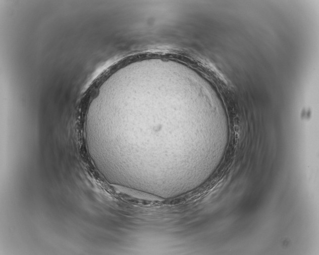 X0000093371256200711011221