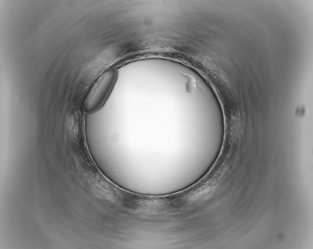 X0000093371257200711011221